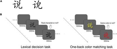 Level of Orthographic Knowledge Helps to Reveal Automatic Predictions in Visual Word Processing